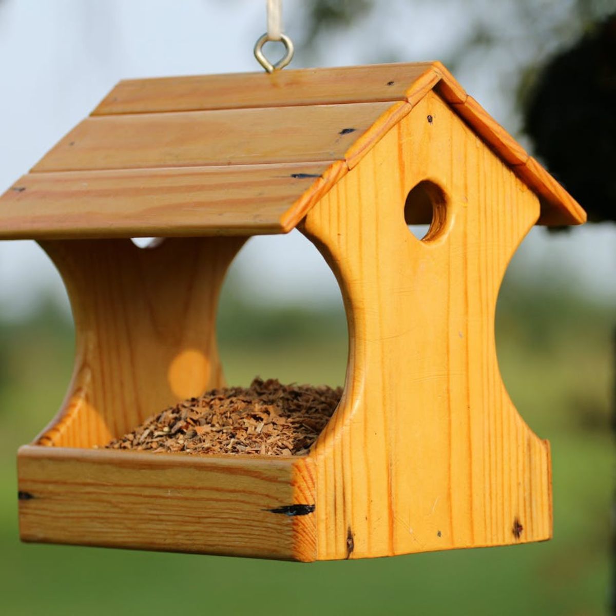 bird house