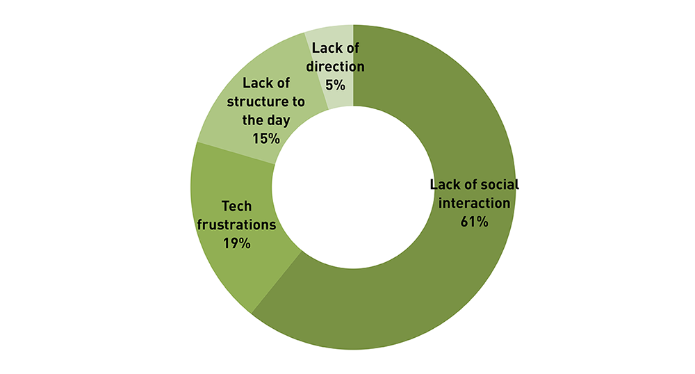 disadvantage of working from home