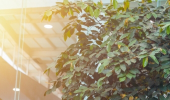 Green leases sustainability blog