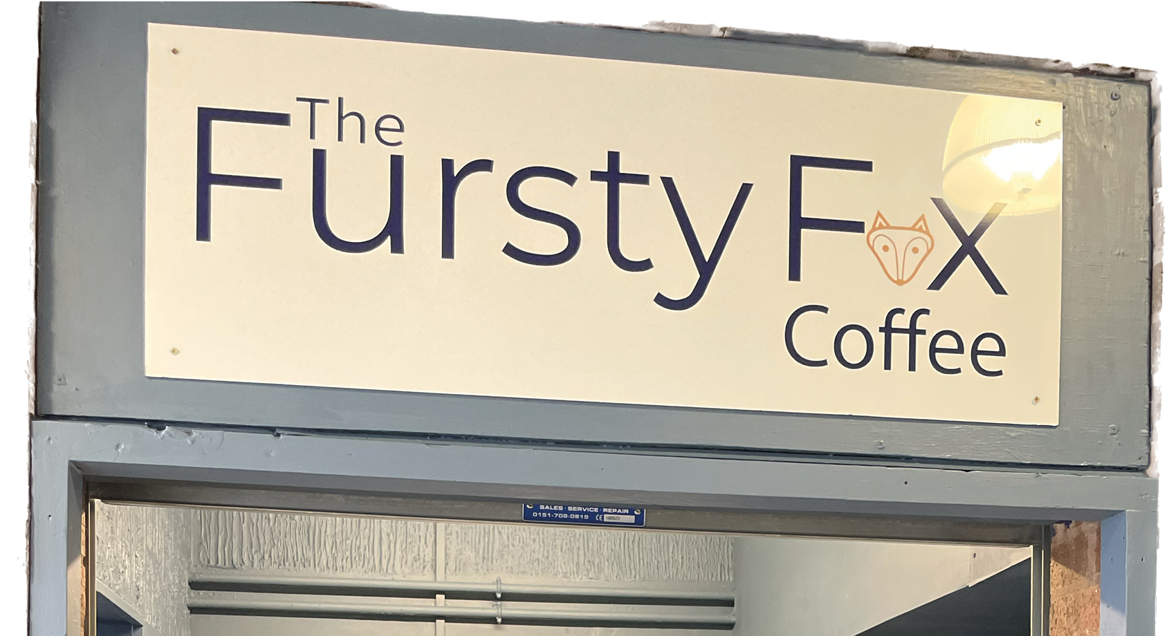 The Fursty Fox